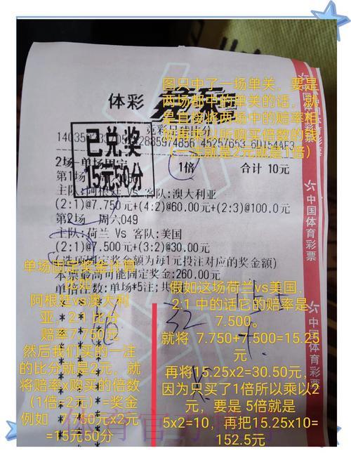 世界杯竞猜：用历史数据助你做出明智投注